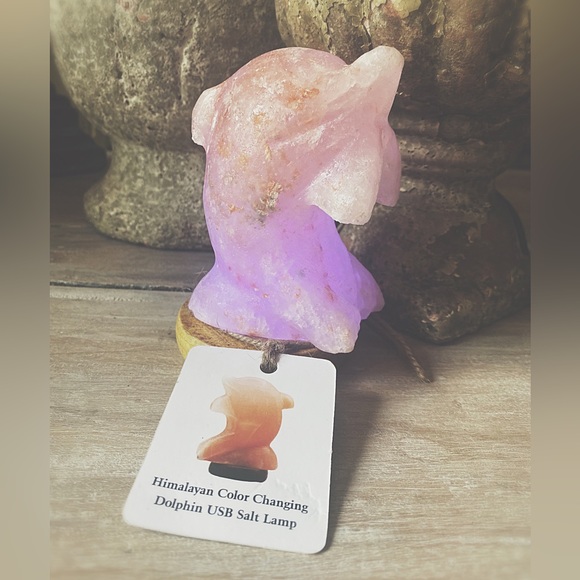 Himalayan Salt Dolphin Lamp - Picture 5 of 10